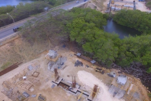 DOW: Cortamento mangrove ta segun regla internacional   