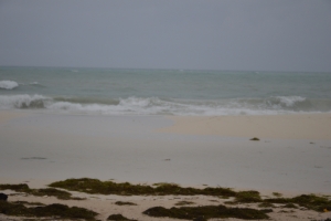 Prome impresion di efecto di horcan Matthew na Aruba