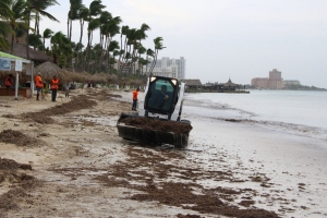 Instancia a traha duro pa prepara Aruba Matthew y minimalisa e daño