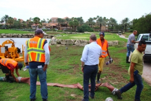 Instancia a traha duro pa prepara Aruba Matthew y minimalisa e daño
