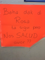 Protesta na St Dominicus pa bahamento di dak asbest Rosa College