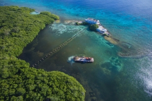 Proyecto Isla di Oro un biaha mas den discusion 