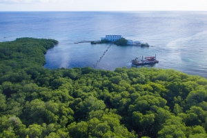 Proyecto Isla di Oro un biaha mas den discusion 