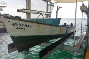 Wardacosta a intercepta imigrantenan ilegal yegando Aruba  