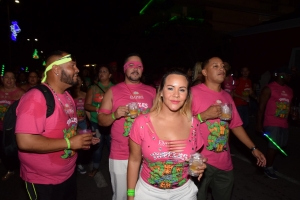 Foto impressie van de fakkeloptocht