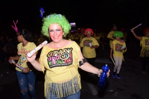 Foto impressie van de fakkeloptocht