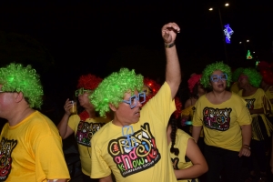 Foto impressie van de fakkeloptocht