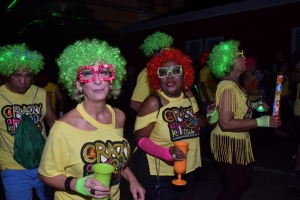 Foto impressie van de fakkeloptocht