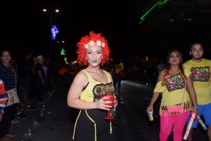 Foto impressie van de fakkeloptocht