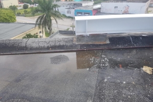 Cas di Cultura a bati alarma pa estado deplorabel di edificio