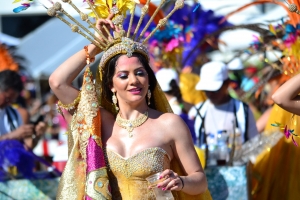 Bista fotografico y drone video di parada grandi y resultado di Carnaval