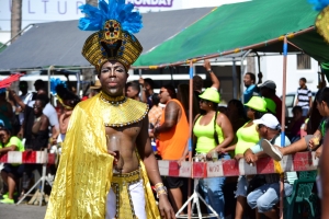 Bista fotografico y drone video di parada grandi y resultado di Carnaval