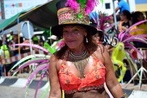Bista fotografico y drone video di parada grandi y resultado di Carnaval