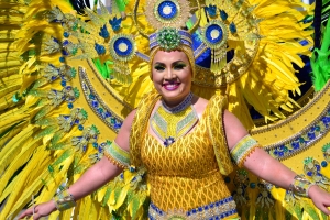 Bista fotografico y drone video di parada grandi y resultado di Carnaval