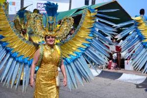 Bista fotografico y drone video di parada grandi y resultado di Carnaval