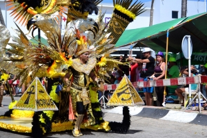 Bista fotografico y drone video di parada grandi y resultado di Carnaval