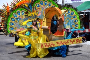 Bista fotografico y drone video di parada grandi y resultado di Carnaval