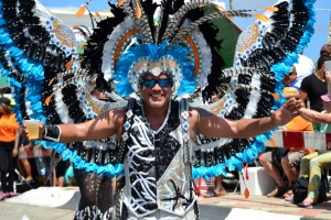 Bista fotografico y drone video di parada grandi y resultado di Carnaval