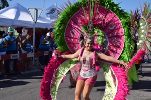 Bista fotografico y drone video di parada grandi y resultado di Carnaval