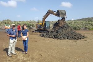 A cuminsa restaura mangrove na comienso di Spaans Lagoen
