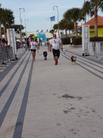 Total di 400 cacho a participa den di 9 Bestial Dog Walk