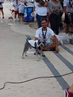 Total di 400 cacho a participa den di 9 Bestial Dog Walk