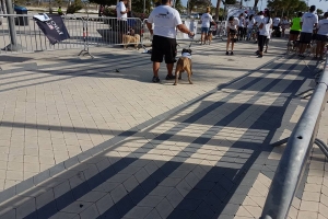 Total di 400 cacho a participa den di 9 Bestial Dog Walk