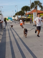 Total di 400 cacho a participa den di 9 Bestial Dog Walk