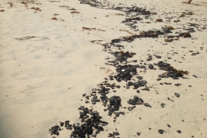A haya zeta caba riba beach na Dos Playa y Andicuri