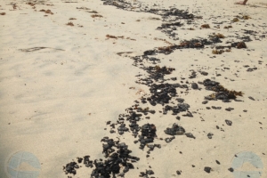 Oilspill Trinidad heeft Dos Playa en Andicuri bereikt