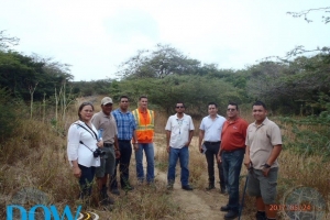 DOW: flora en fauna op constructieroute beschermd