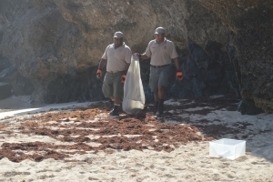 Aruba a intensifica accion contra situacion di oil spill