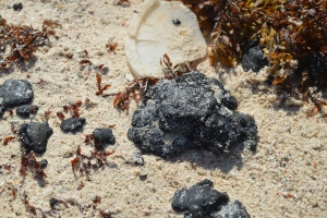 Aruba a intensifica accion contra situacion di oil spill