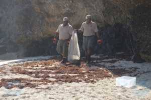 Geen beschermende kleding op Aruba voor opruimen ruwe olie