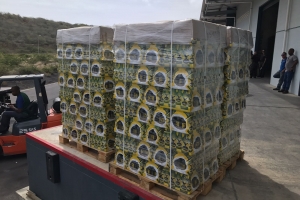 MEO atrobe a gara cargacion grandi di cerbes caduca na Corsou
