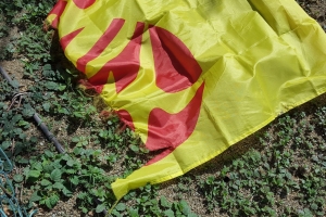 Partidonan a desaproba destruccion di nan material di campaña