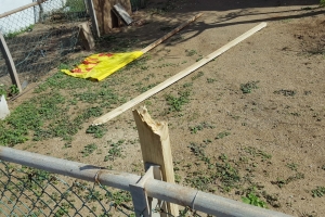 Partidonan a desaproba destruccion di nan material di campaña
