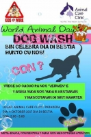 Animal Care Clinic y Kids at work camp cu dog wash riba dia di bestia