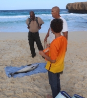 AMMF: Atrobe un baby tonino morto ta yega costa di Aruba