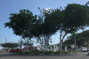 Aruba roundabout decorations stuck in containers in China