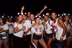 Bista fotografico di e parada di flambeu di diasabra anochi
