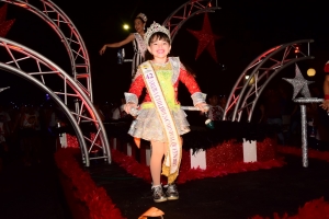 Bista fotografico di e parada di flambeu di diasabra anochi