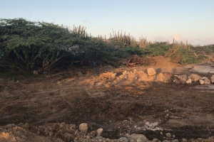 Oduber: Man duro riba tur tereno den wetland otorga pa Gobierno anteri