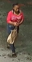 Recompensa pa camera horta den parkinglot di Pricemart