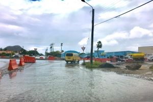 Expertonan Hulandes a midi area problematico di Watty Vos Boulevard