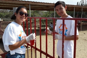 Mas di 4000 voluntario a participa den prome dia di Aruba Doet