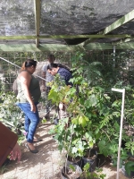 Cruz Cora Aruba garden fundraising party na caminda