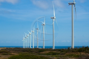 Wever: New Windmill Park will not be built at Urirama