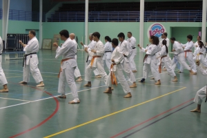 Exitoso seminario Explosion Karate II