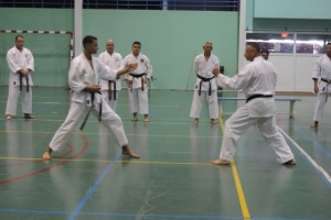 Exitoso seminario Explosion Karate II